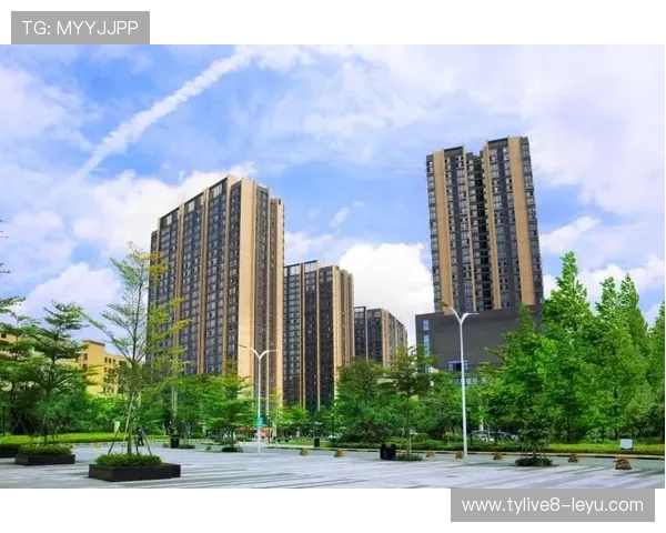 俱乐部高层释疑运营规划 强调稳健发展